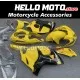 Suzuki Hayabusa GSX1300R 2008-2020 Fairing P/N 2P36