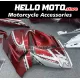 Suzuki Hayabusa GSX1300R 2008-2020 Fairing P/N 2P27