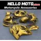Suzuki Hayabusa GSX1300R 2008-2020 Fairing P/N 2P32