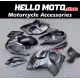 Suzuki Hayabusa GSX1300R 2008-2020 Fairing P/N 2P43