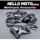 Suzuki Hayabusa GSX1300R 2008-2020 Fairing P/N 2P43