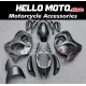 Suzuki Hayabusa GSX1300R 2008-2020 Fairing P/N 2P43