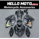 Suzuki Hayabusa GSX1300R 2008-2020 Fairing P/N 2P42