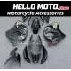 Suzuki Hayabusa GSX1300R 2008-2020 Fairing P/N 2P42