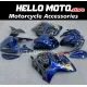 Suzuki Hayabusa GSX1300R 2008-2020 Fairing P/N 2P17