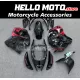 Suzuki Hayabusa GSX1300R 2008-2020 Fairing P/N 2P21