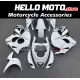 Suzuki Hayabusa GSX1300R 2008-2020 Fairing P/N 2P46 Suzuki Hayabusa GSX1300R 2008-2020 Fairing P/N 2P46