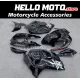 Suzuki Hayabusa GSX1300R 2008-2020 Fairing P/N 2P47