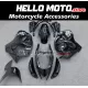 Suzuki Hayabusa GSX1300R 2008-2020 Fairing P/N 2P47