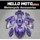 Suzuki Hayabusa GSX1300R 2008-2020 Fairing P/N 2P40