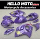 Suzuki Hayabusa GSX1300R 2008-2020 Fairing P/N 2P40