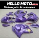 Suzuki Hayabusa GSX1300R 2008-2020 Fairing P/N 2P40