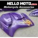 Suzuki Hayabusa GSX1300R 2008-2020 Fairing P/N 2P40