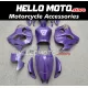 Suzuki Hayabusa GSX1300R 2008-2020 Fairing P/N 2P40