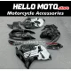 Suzuki Hayabusa GSX1300R 2008-2020 Fairing P/N 2P41
