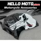 Suzuki Hayabusa GSX1300R 2008-2020 Fairing P/N 2P41