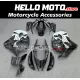 Suzuki Hayabusa GSX1300R 2008-2020 Fairing P/N 2P41