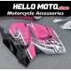 Suzuki Hayabusa GSX1300R 2008-2020 Fairing P/N 2P18