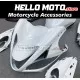 Suzuki Hayabusa GSX1300R 2008-2020 Fairing P/N 2P34