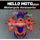 Suzuki GSX-R 1000 2001-2002 Fairing P/N 2AC1