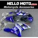 Suzuki GSX-R 1000 2001-2002 Fairing P/N 2AC4