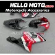 Suzuki GSX-R 1000 2001-2002 Fairing P/N 2AC7