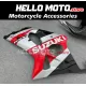 Suzuki GSX-R 1000 2001-2002 Fairing P/N 2AC7