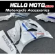 Suzuki GSX-R 1000 2017-2027 Fairing P/N 2N10 Suzuki GSX-R 1000 2017-2027 Fairing P/N 2N10