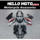 Suzuki GSX-R 1000 2017-2027 Fairing P/N 2N17