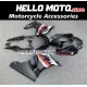 Suzuki GSX-R 1000 2017-2027 Fairing P/N 2N17