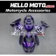 Suzuki GSX-R 1000 2017-2027 Fairing P/N 2N21