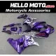 Suzuki GSX-R 1000 2017-2027 Fairing P/N 2N21