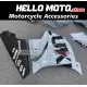 Suzuki GSX-R 1000 2017-2027 Fairing P/N 2N12