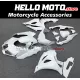Suzuki GSX-R 1000 2017-2027 Fairing P/N 2N27
