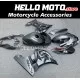 Suzuki GSX-R 1000 2017-2027 Fairing P/N 2N29