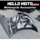 Suzuki GSX-R 1000 2017-2027 Fairing P/N 2N29
