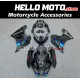 Suzuki GSX-R 1000 2017-2027 Fairing P/N 2N39