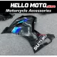 Suzuki GSX-R 1000 2017-2027 Fairing P/N 2N39