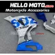 Suzuki GSX-R 1000 2017-2027 Fairing P/N 2N3
