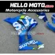 Suzuki GSX-R 1000 2017-2027 Fairing P/N 2N28