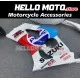Suzuki GSX-R 1000 2003-2004 Fairing P/N 2AE13