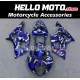 Suzuki GSX-R 1000 2003-2004 Fairing P/N 2AE15