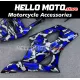 Suzuki GSX-R 1000 2003-2004 Fairing P/N 2AE15