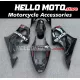 Suzuki GSX-R 1000 2003-2004 Fairing P/N 2AE16