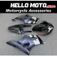 Suzuki GSX-R 1000 2003-2004 Fairing P/N 2AE18 Suzuki GSX-R 1000 2003-2004 Fairing P/N 2AE18