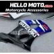 Suzuki GSX-R 1000 2003-2004 Fairing P/N 2AE3 Suzuki GSX-R 1000 2003-2004 Fairing P/N 2AE3