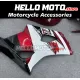 Suzuki GSX-R 1000 2003-2004 Fairing P/N 2AE9 Suzuki GSX-R 1000 2003-2004 Fairing P/N 2AE9