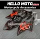 Suzuki GSX-R 1000 2005-2006 Fairing P/N 2K9