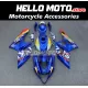 Suzuki GSX-R 1000 2005-2006 Fairing P/N 2K29