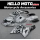 Suzuki GSX-R 1000 2005-2006 Fairing P/N 2K23